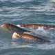 Photo: NOAA/OAR/OER